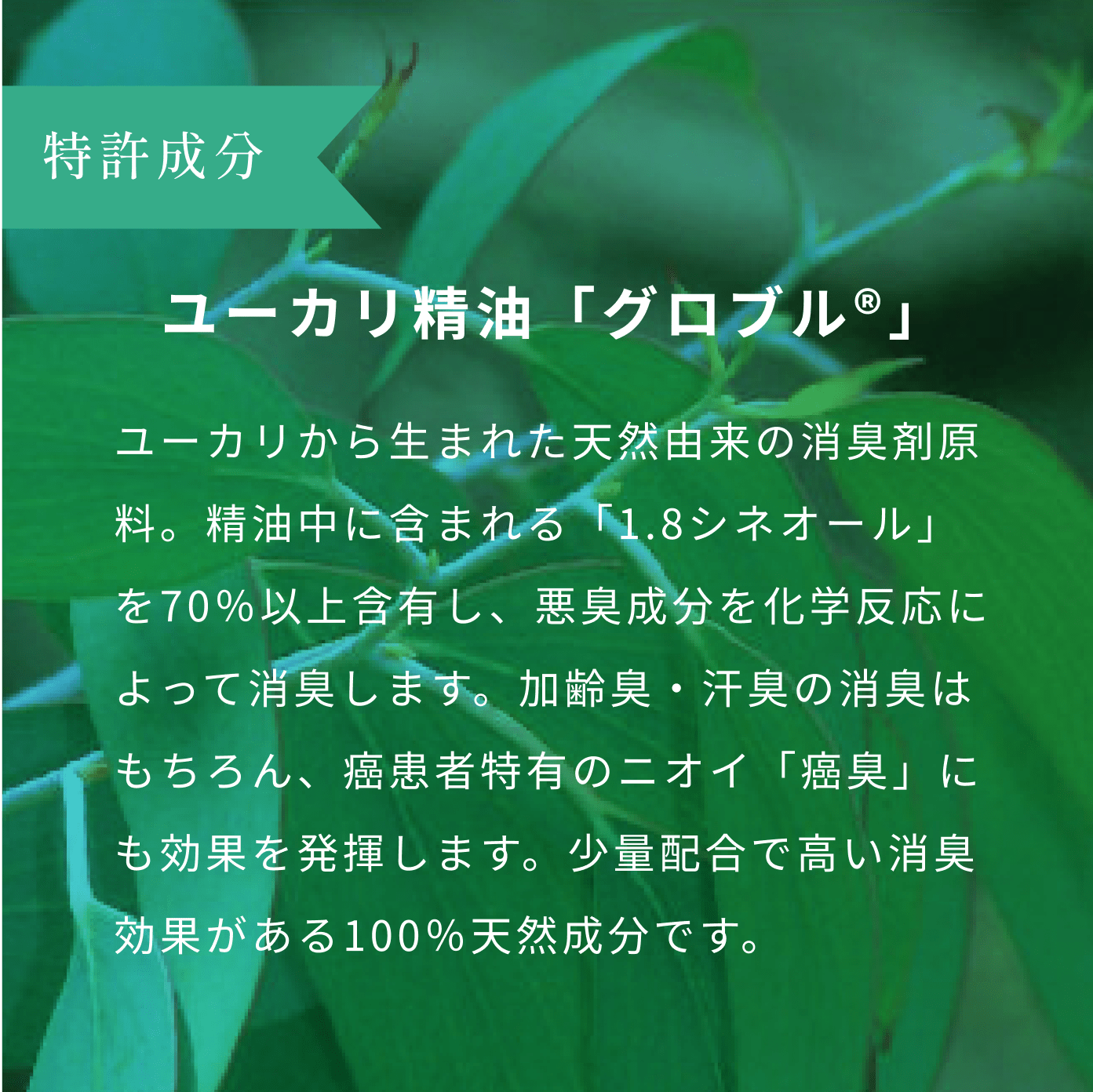 消臭・除菌ファブリックウォーター 除菌,空間,スプレー,消臭,アロマ,靴,芳香剤,トイレ,インテリア,いいニオイ,良いニオイ,良い匂い,おしゃれ,オシャレ,お洒落,ミスト,ファブリック,エアーフレッシュナー,加齢臭,部屋干し,生乾き,自然由来