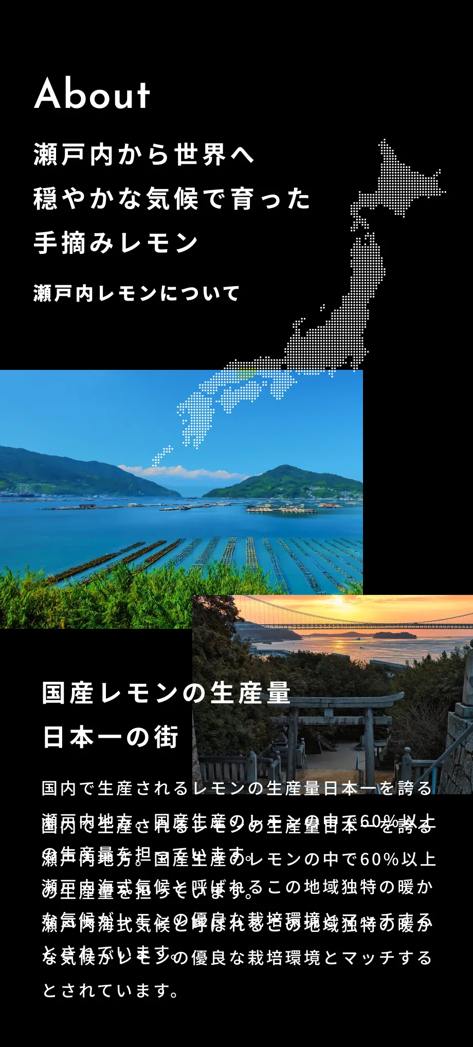 精油,アロマ,エッセンシャルオイル,シトラス,レモン,れもん,檸檬,瀬戸内レモン,国産