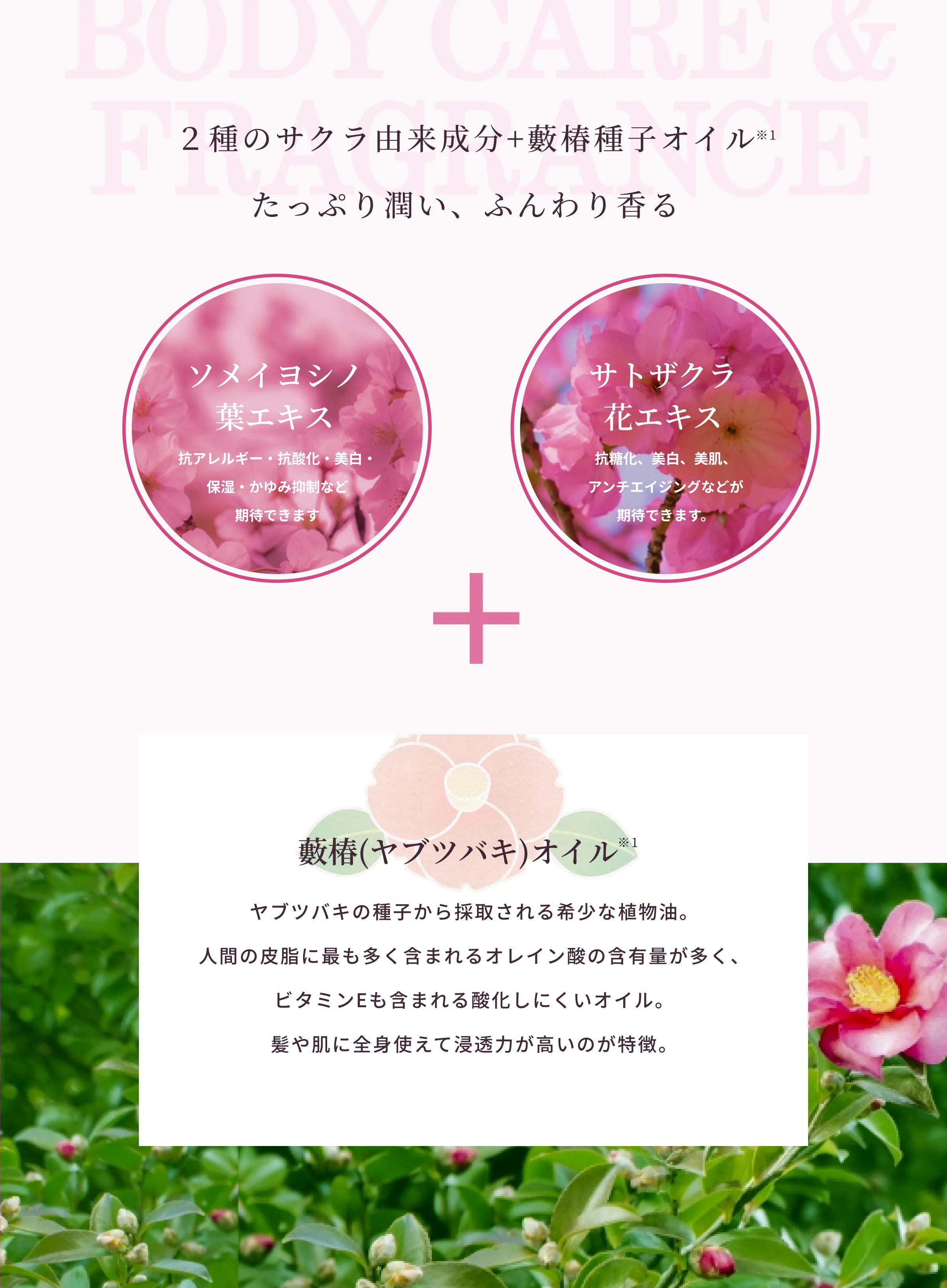 桜,桜 グッズ,桜 インテリア,桜 匂い,桜 フレグランス,ハンドクリーム,ボディケア