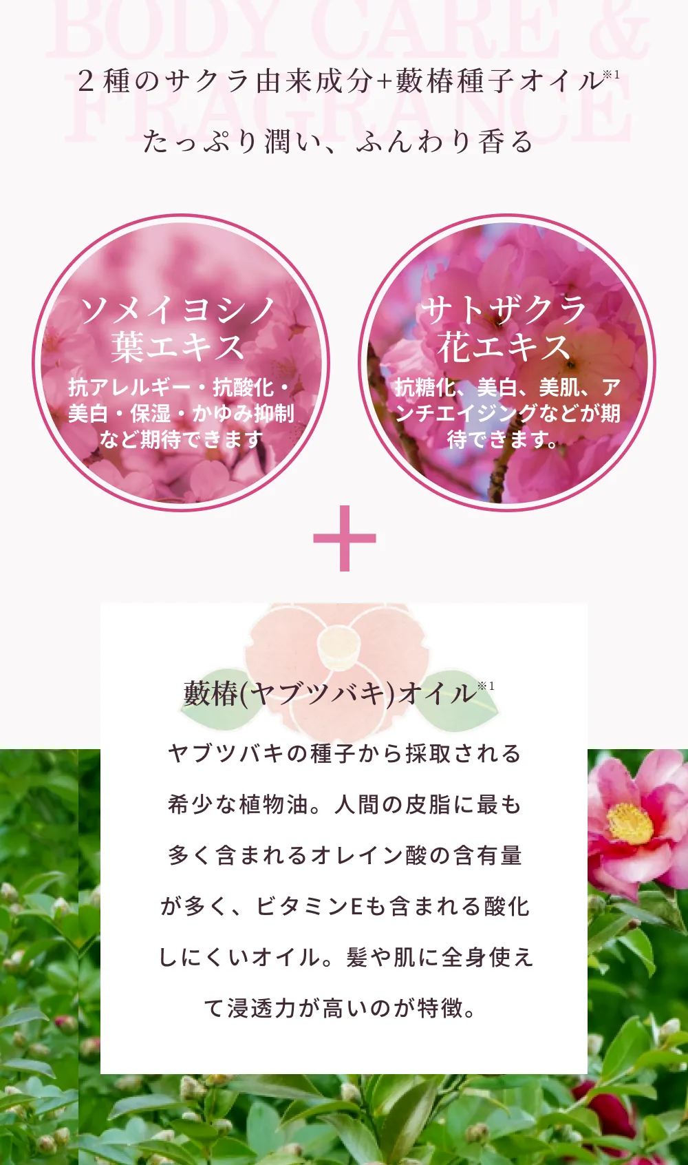 桜,桜 グッズ,桜 インテリア,桜 匂い,桜 フレグランス,ハンドクリーム,ボディケア