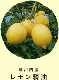 瀬戸内産 レモン精油  