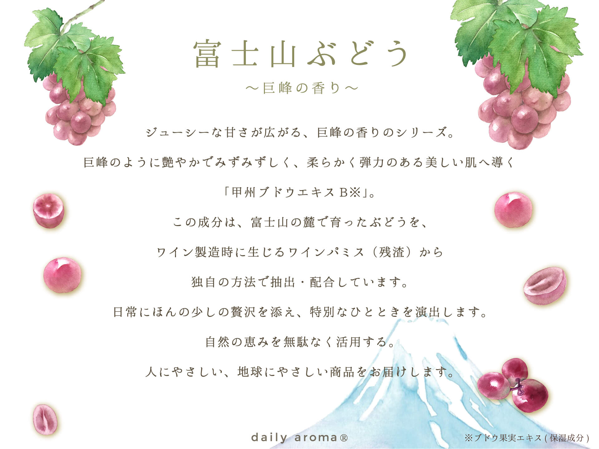 富士山ぶどう 巨峰イメージ1