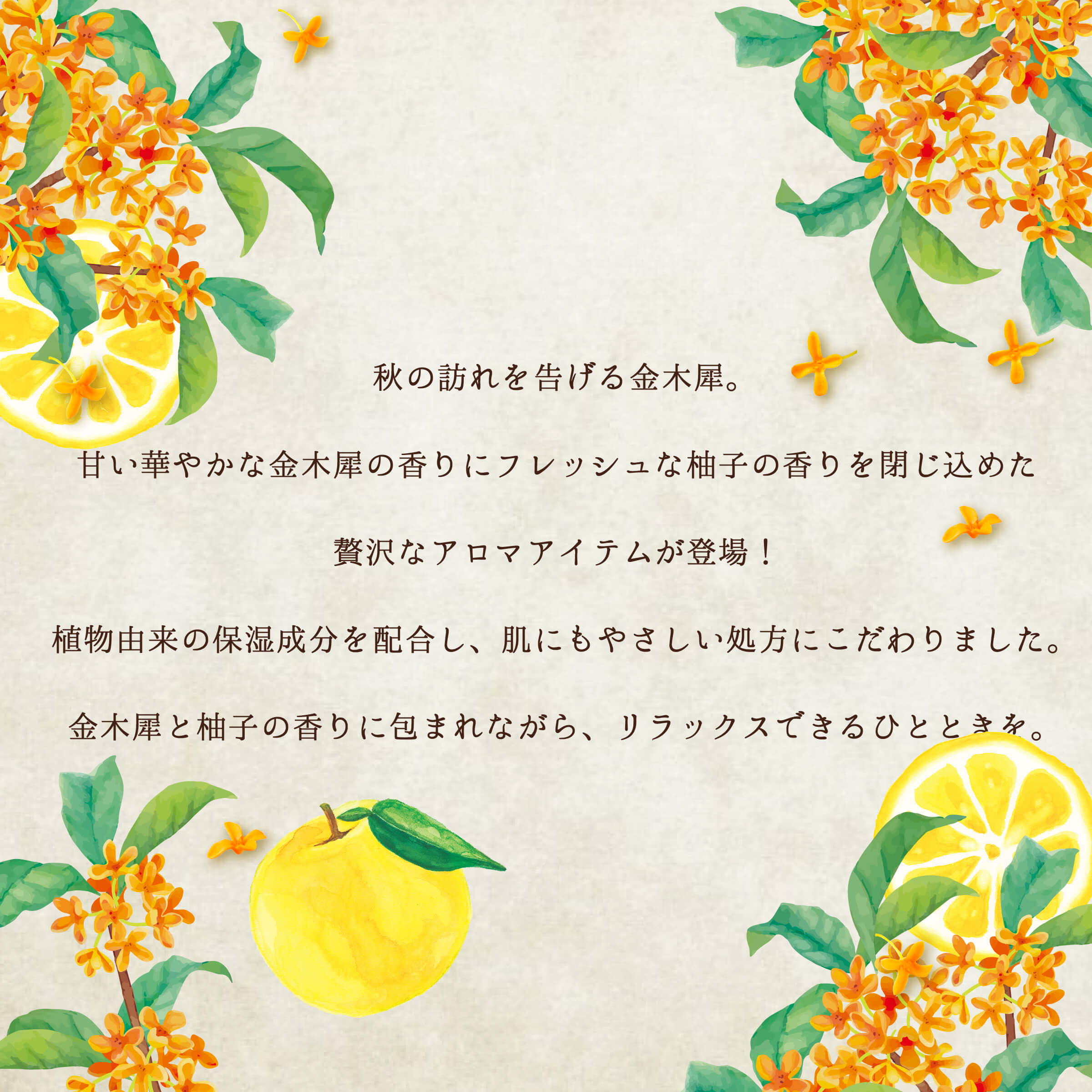 金木犀,日本製,消臭,リードディフューザー,ルームフレグランス,柚子,シトラス,キンモクセイ,きんもくせい,日本製,オスマンサス,香り,匂い,芳香剤,部屋,アロマディフューザー,プレゼント,ギフト,アロマ,ファブリック,ルームスプレー,部屋干し,ニオイ消し,汗臭,生活臭,加齢臭,オスマンサス,香り,匂い,コロン,芳香剤