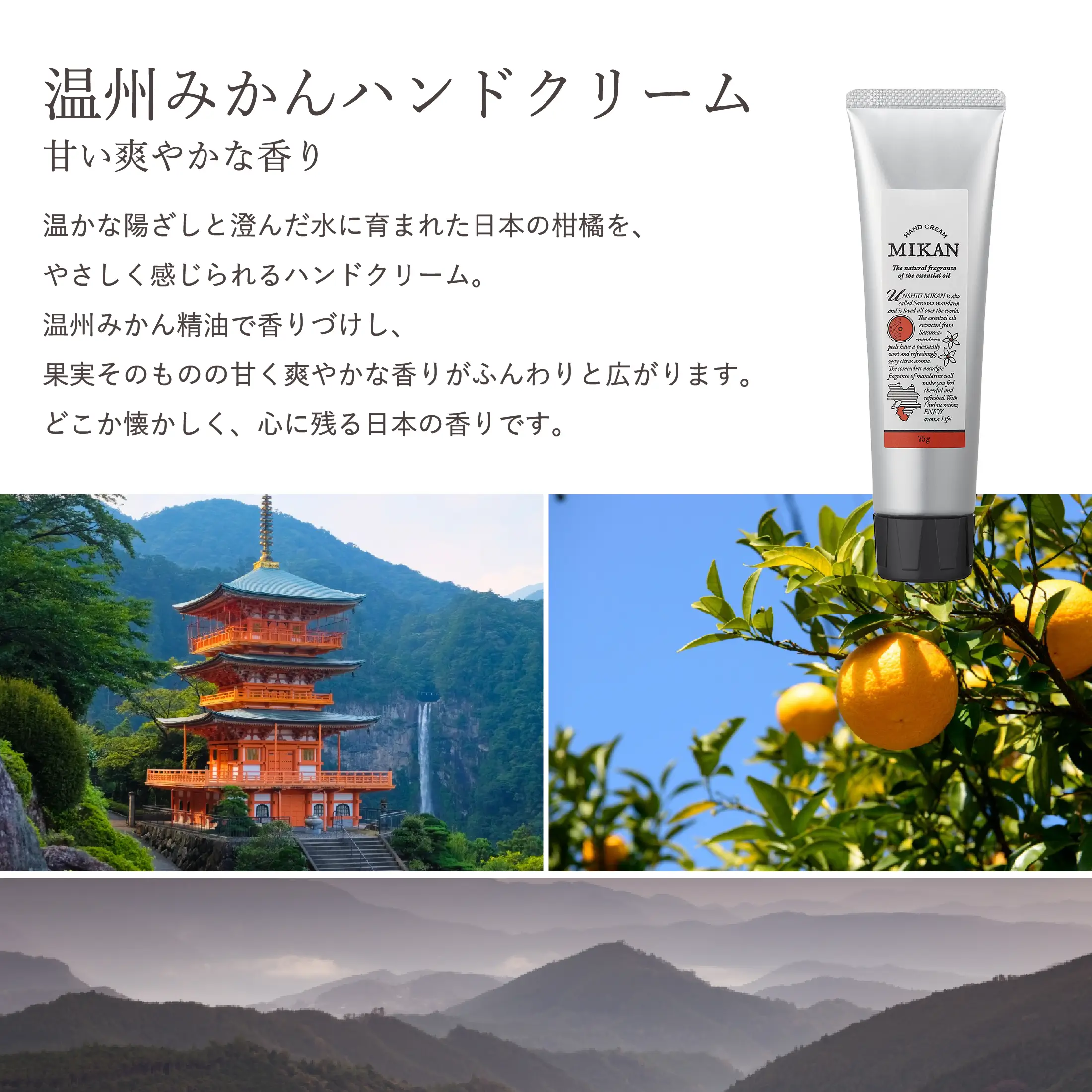 終盤セクション画像 section10