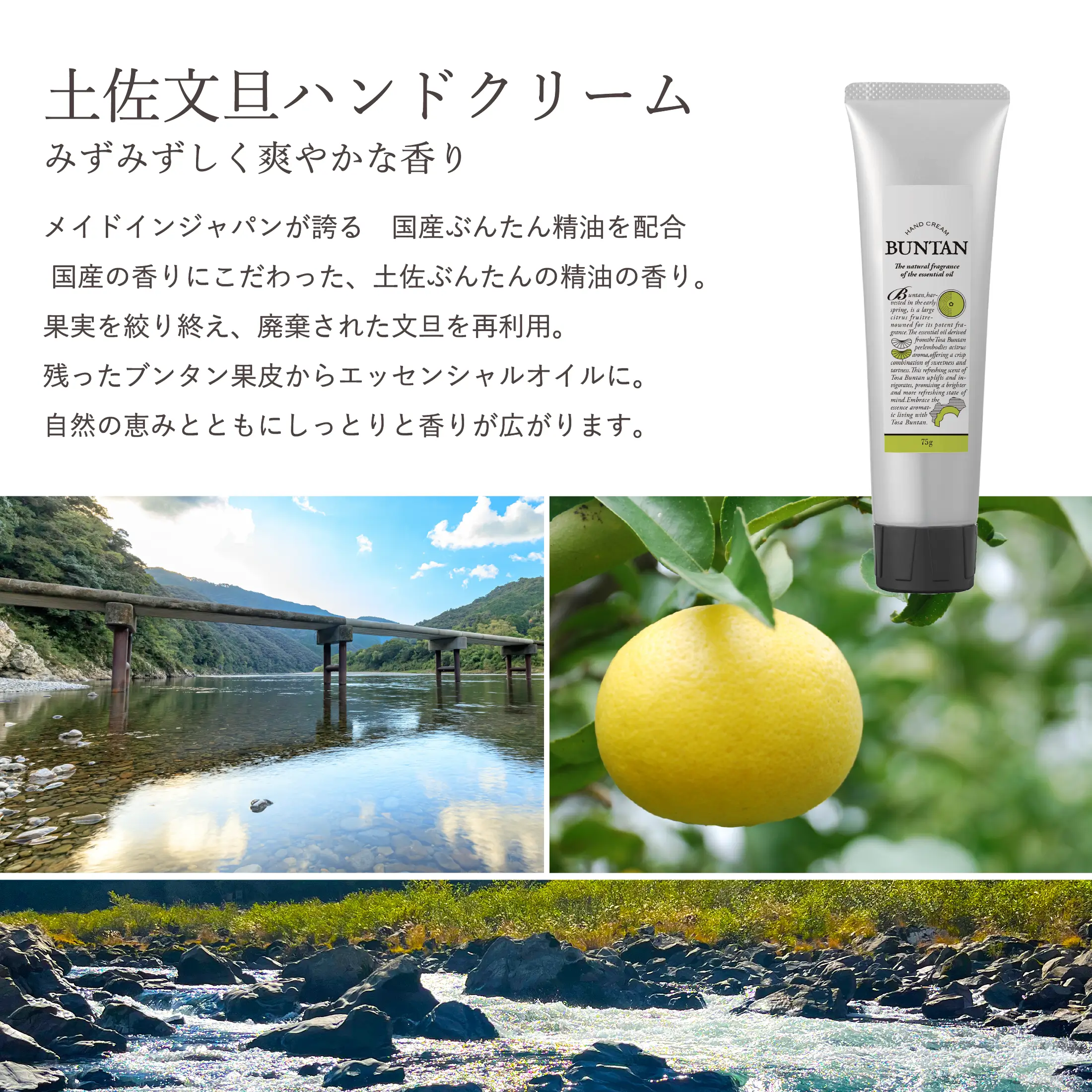 終盤セクション画像 section11