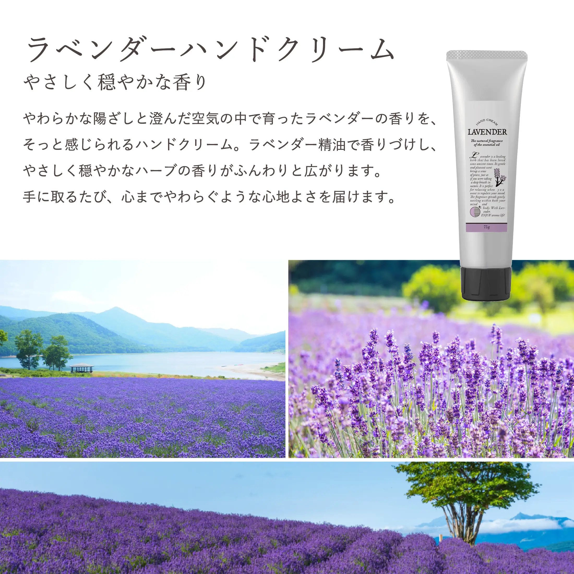 終盤セクション画像 section12