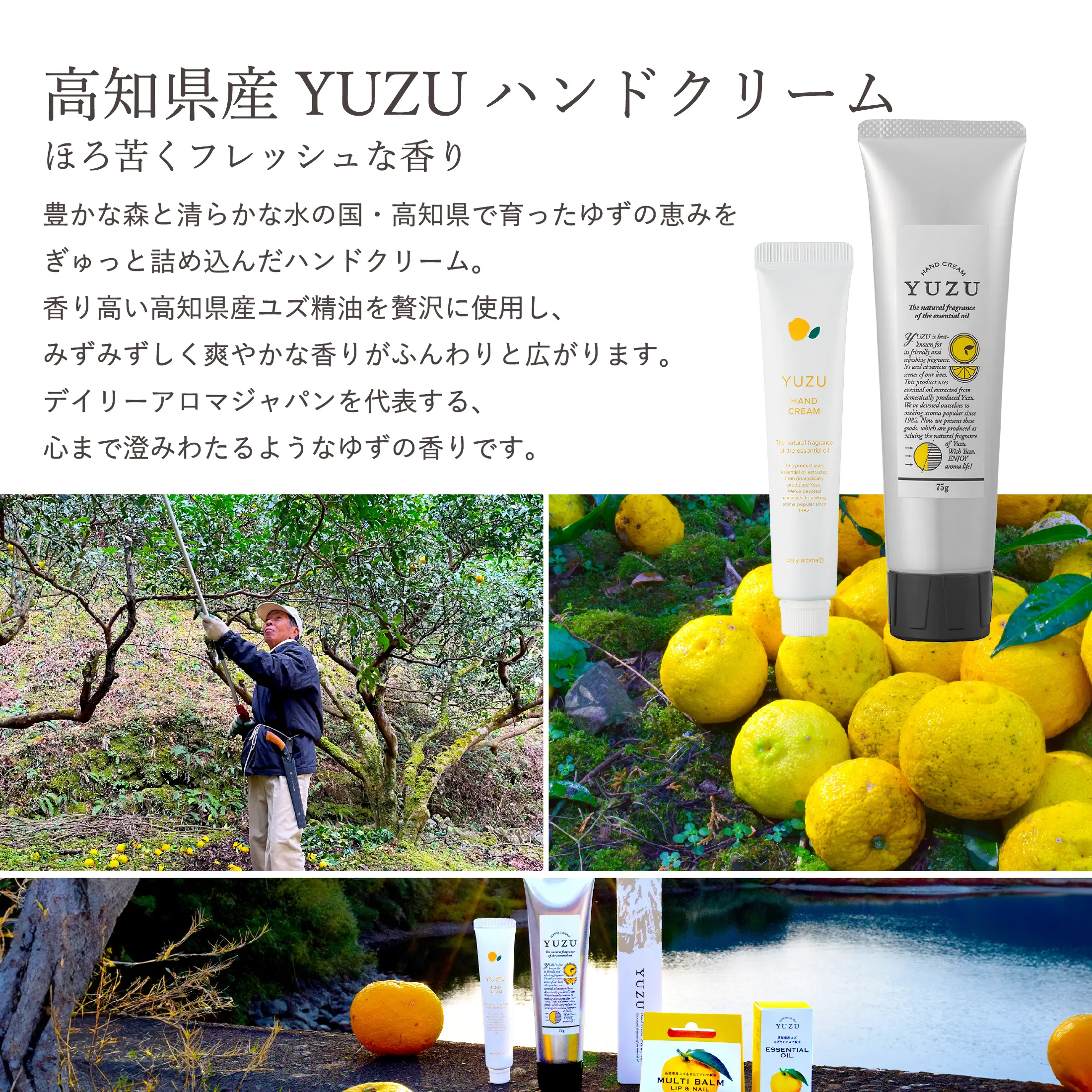高知県産YUZU セクションヘッダー