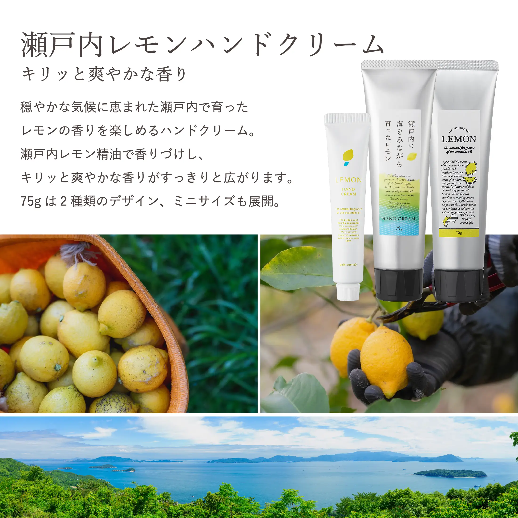 瀬戸内レモン セクションヘッダー