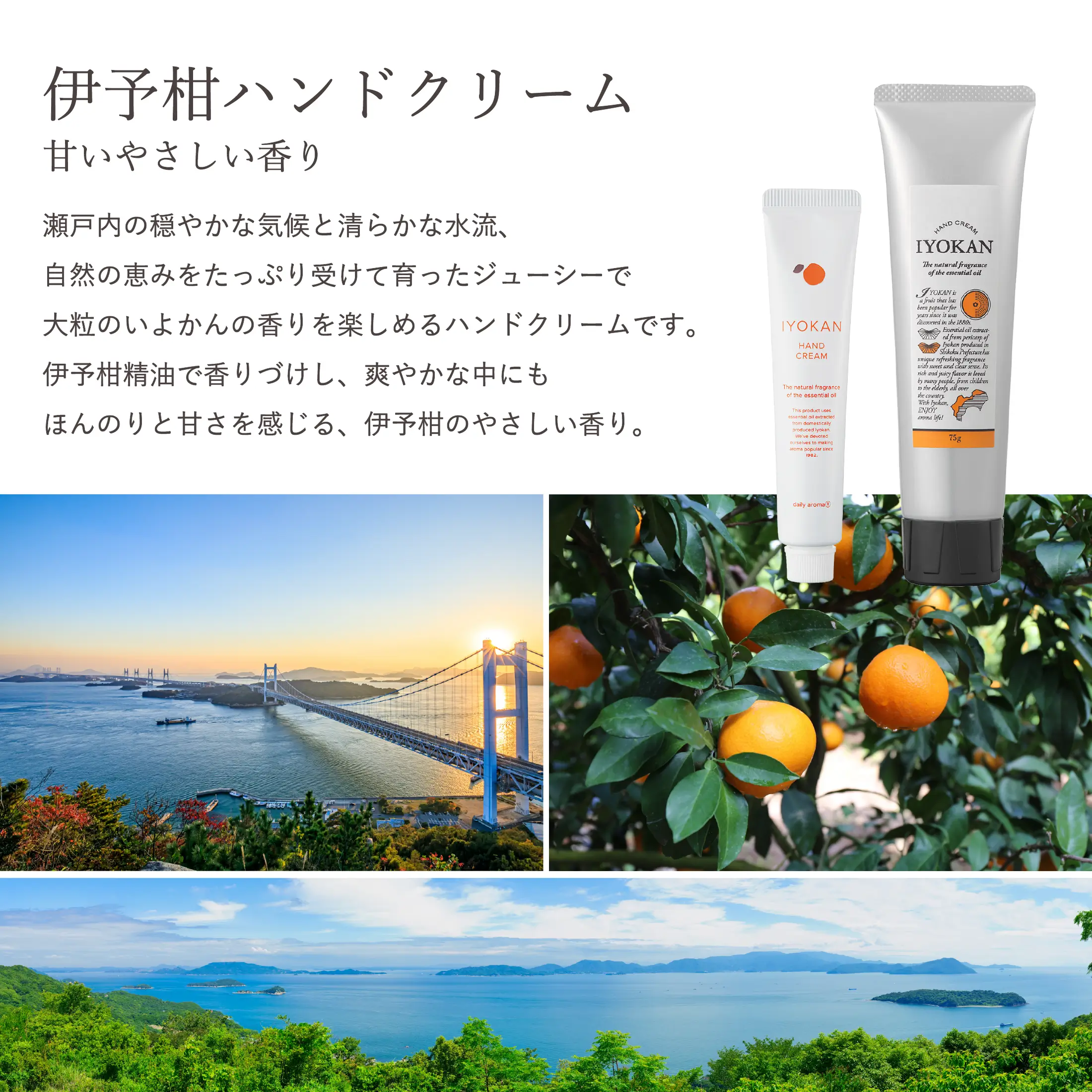 終盤セクション画像 section8