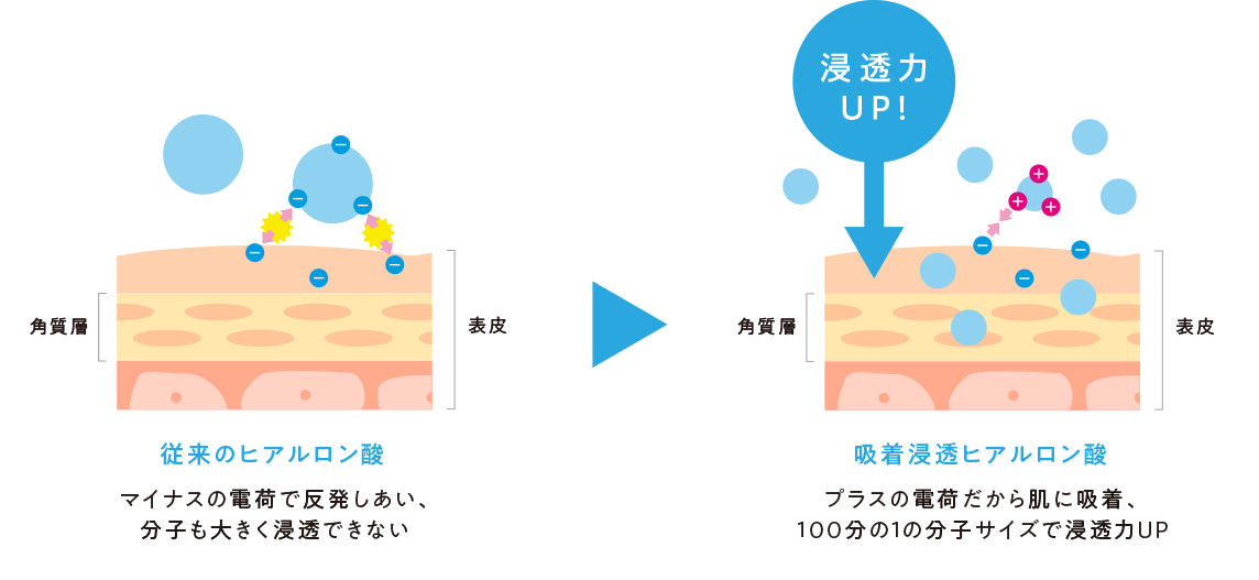 従来のヒアルロン酸はマイナスの電荷で反発しあい、分子も大きく浸透できない 。吸着浸透ヒアルロン酸はプラスの電荷だから肌に吸着、100分の１の分子サイズで浸透力UP。