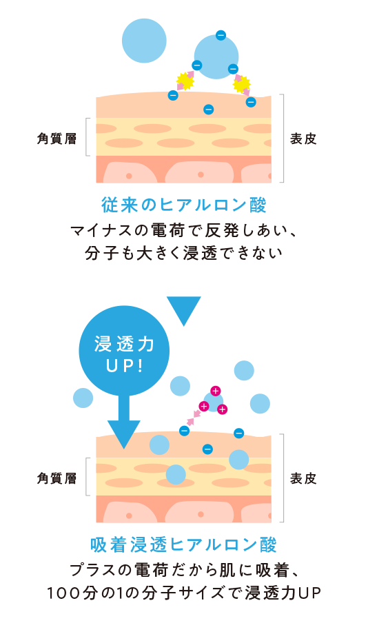 従来のヒアルロン酸はマイナスの電荷で反発しあい、分子も大きく浸透できない 。吸着浸透ヒアルロン酸はプラスの電荷だから肌に吸着、100分の１の分子サイズで浸透力UP。