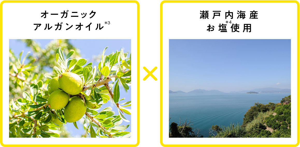 オーガニックアルガンオイル×瀬戸内海産お塩使用