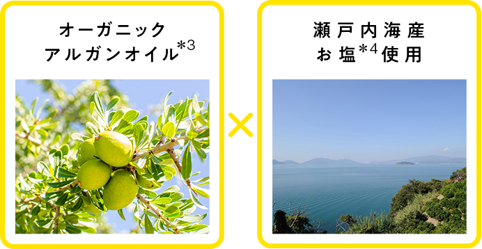 オーガニックアルガンオイル×瀬戸内海産お塩使用