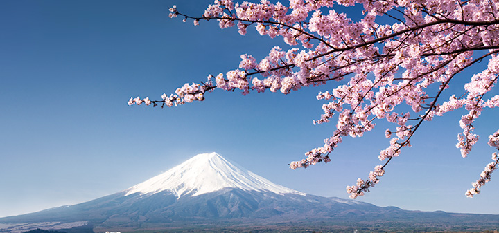 日本の香り